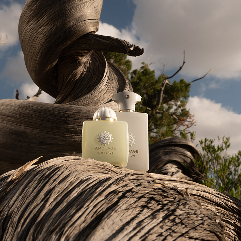 MENARD AUTHENT LIQUID