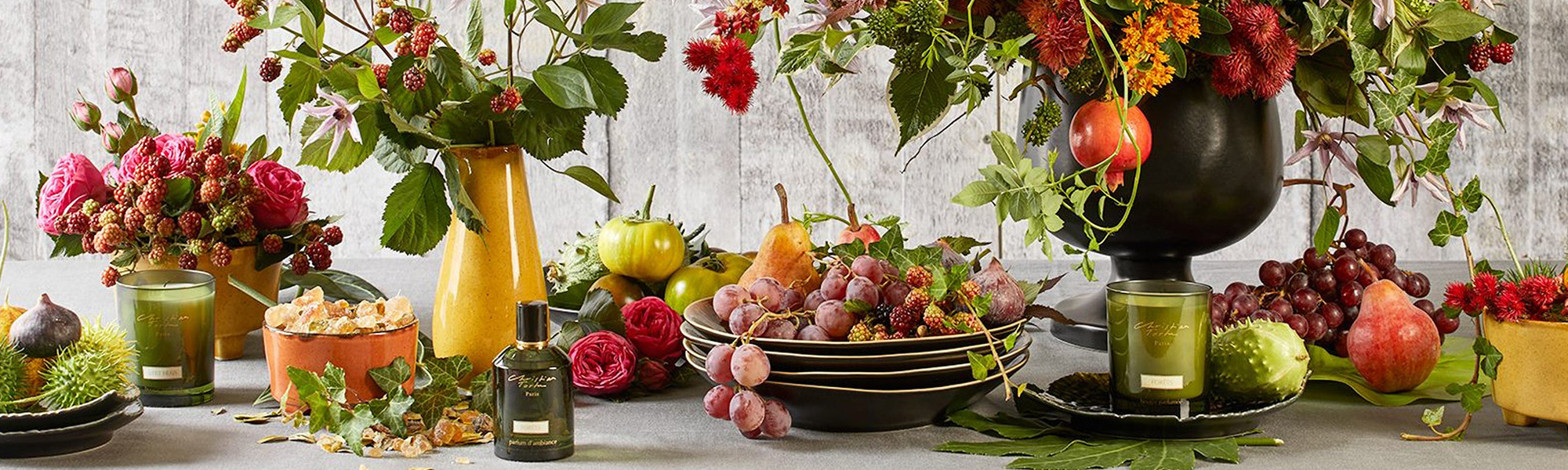 main-baner-christian-tortu-2000*600